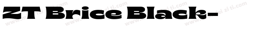 ZT Brice Black字体转换